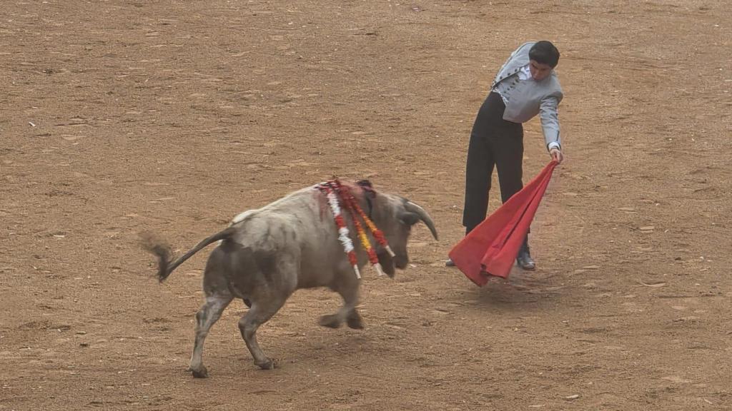 Muletazo de Fernando Vanegas