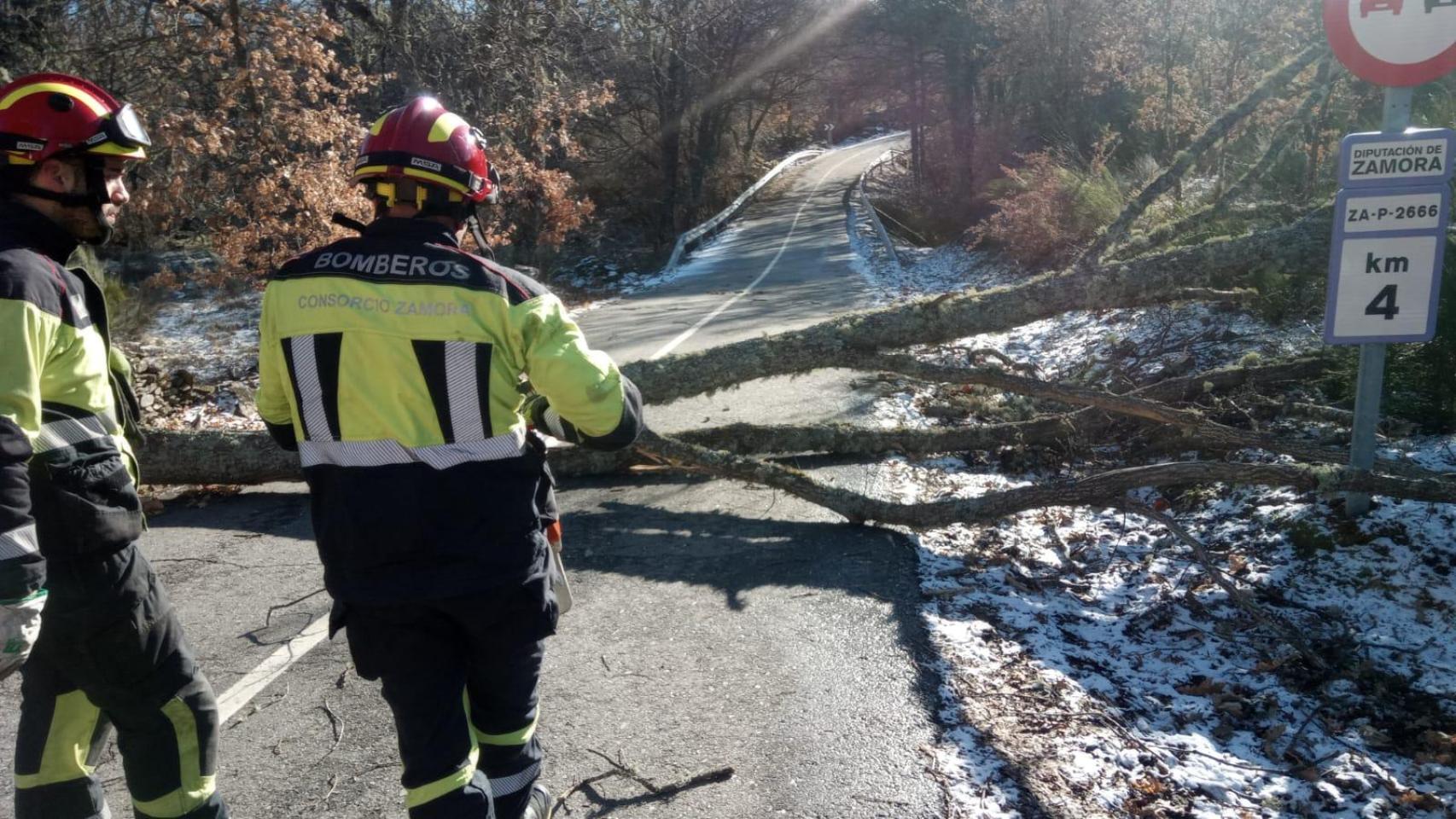 Intervenciones de los bomberos del Consorcio Provincial por la borrasca Oriana en la provincia de Zamora