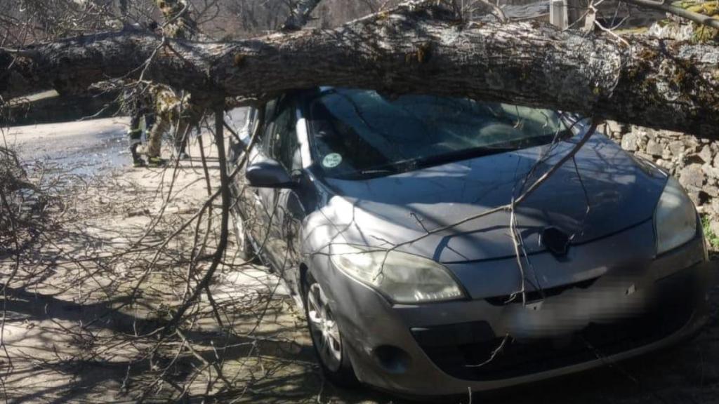 Intervenciones de los bomberos del Consorcio Provincial por la borrasca Oriana en la provincia de Zamora