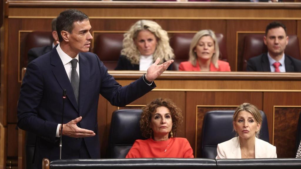 Pedro Sánchez el pasado 11 de febrero en el Congreso de los Diputados.