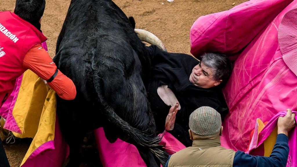Imágenes de la cogida al matador de toros Antonio Rodríguez 'El Almendra' en Ciudad Rodrigo