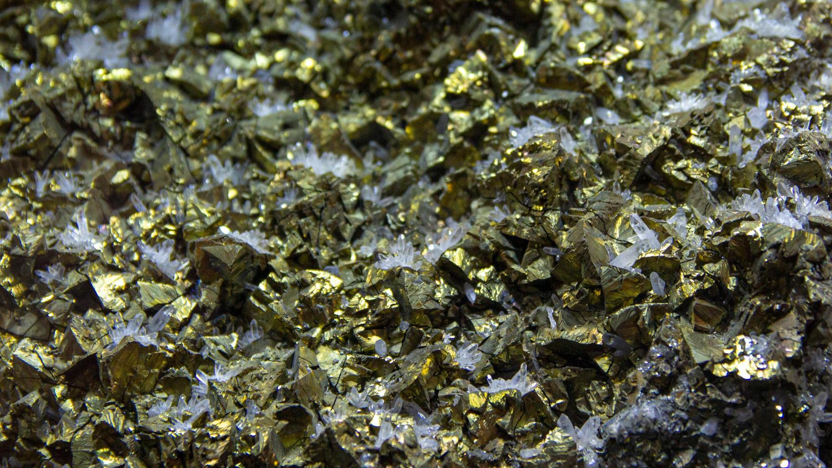 Pepitas de oro incrustados en cuarzo.