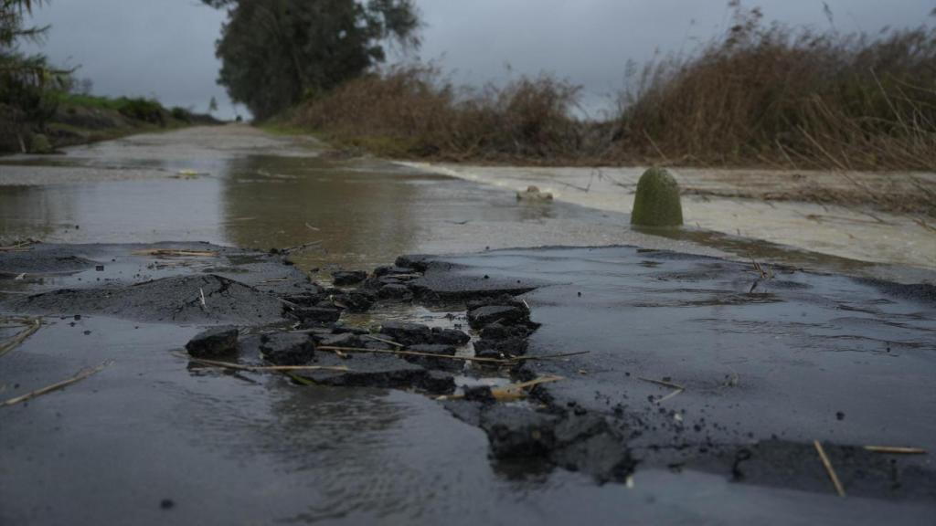 Efectos de las borrascas en las carreteras de Sevilla.