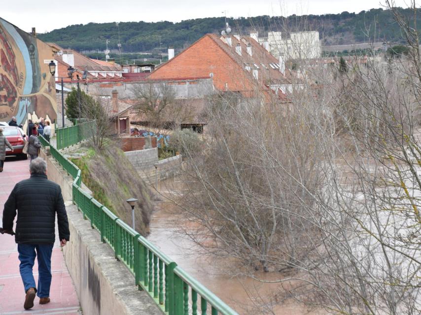 La orilla del río Duero ha aglutinado todas las miradas este lunes en Tudela