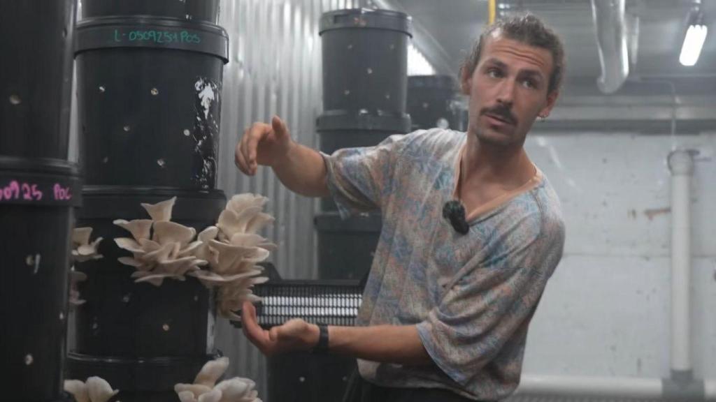 Max, agricultor de setas en Gran Canarias.