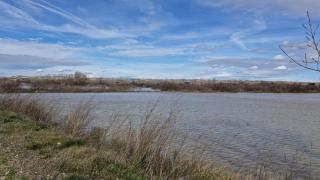 El Ebro, este lunes a su paso por Pina.