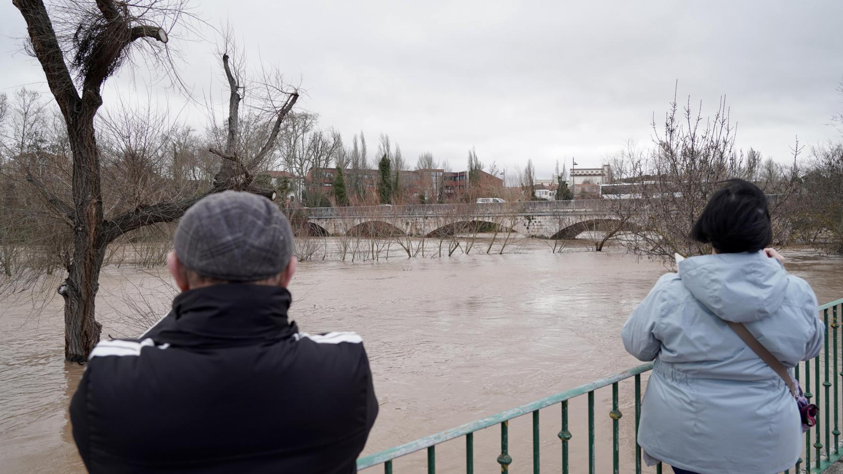 La crecida del río Duero en Tudela de Duero ha anegado calles y garajes