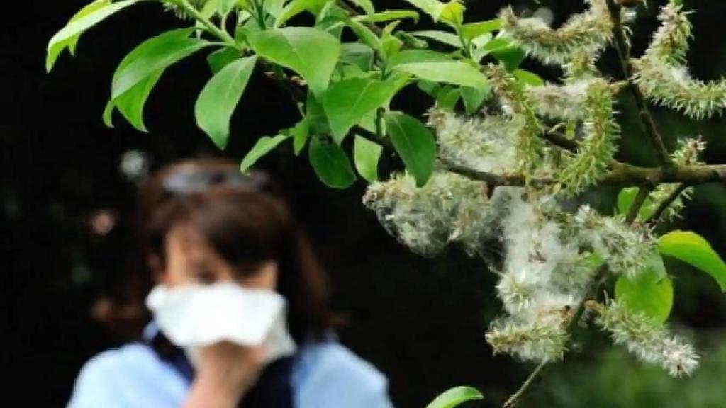 Imagen de archivo de una mujer que sufre alergia al polen durante la primavera.