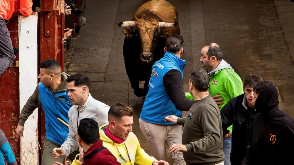 Carnaval del Toro en Ciudad Rodrigo (Salamanca).