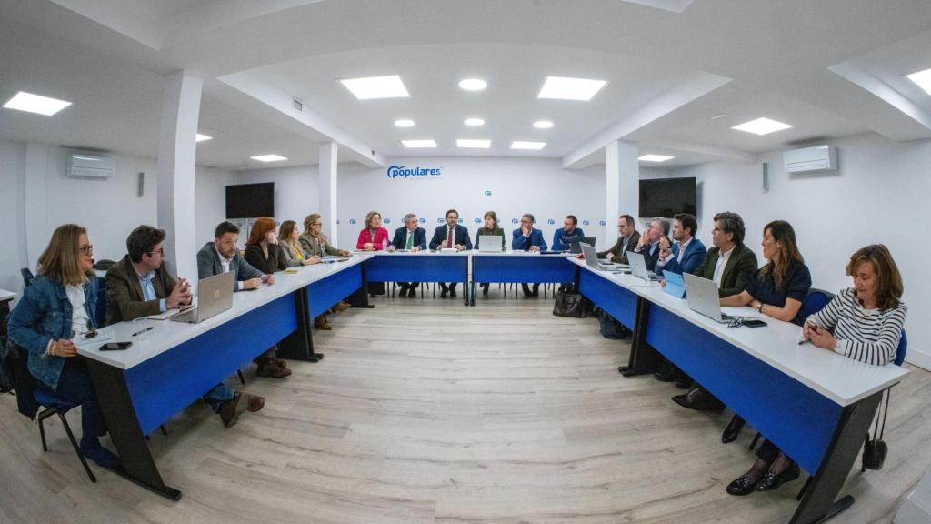 Reunión de Núñez con el equipo sectorial del PP de Castilla-La Mancha. Foto: PP CLM.