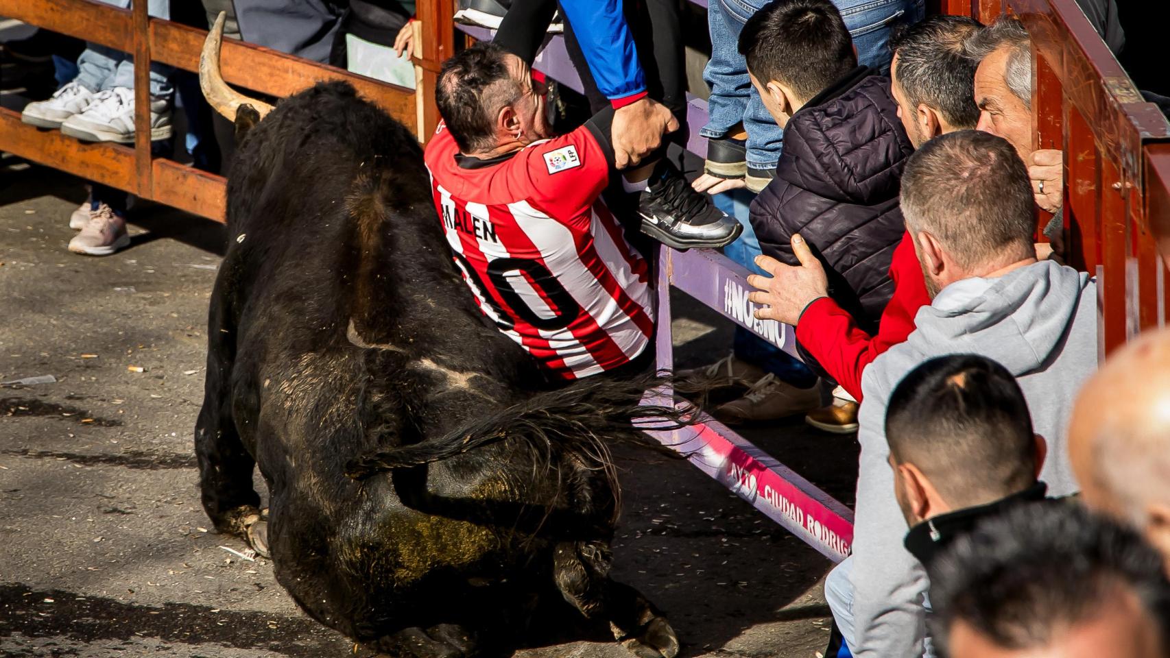Carnaval del Toro en Ciudad Rodrigo