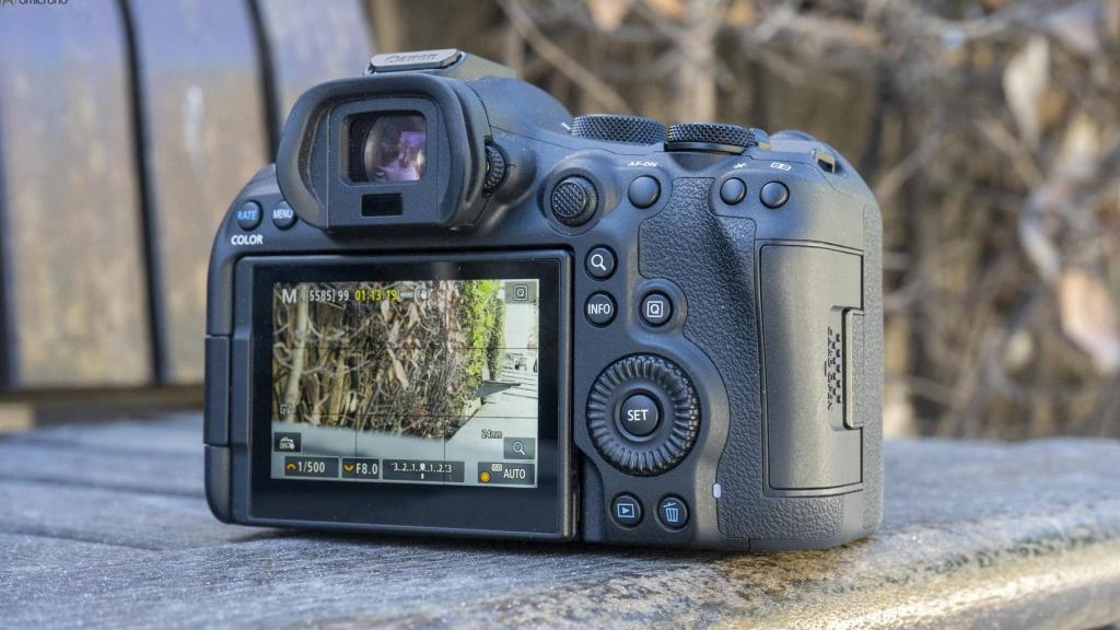 Canon EOS R6 Mark III.