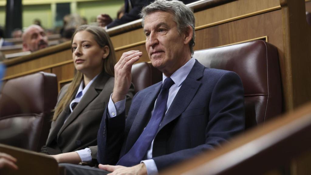 El líder del PP, Alberto Núñez Feijóo, durante la sesión de Control celebrada este miércoles en el Congreso.