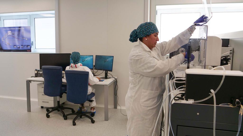 Investigadores UMA.