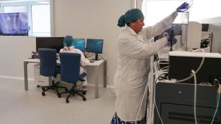 Investigadores UMA.
