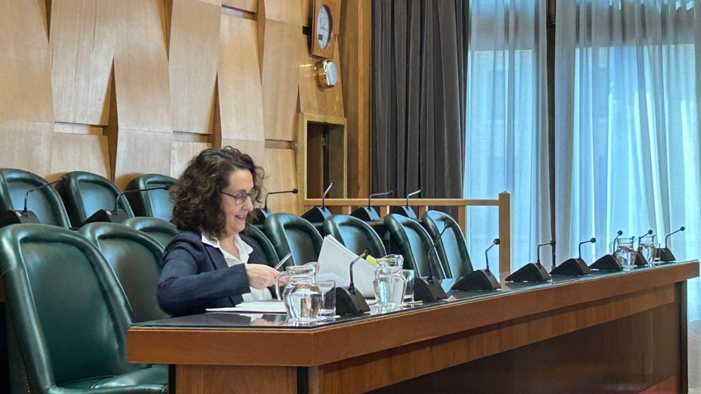 Eva Torres, portavoz adjunta de Vox en el Ayuntamiento de Zaragoza.