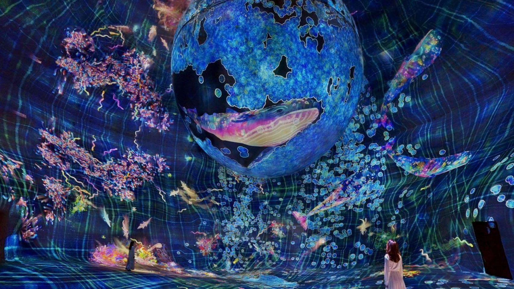 teamLab Phenomena Abu Dhabi.