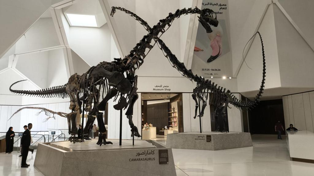 Museo de Historia Natural de Abu Dhabi.