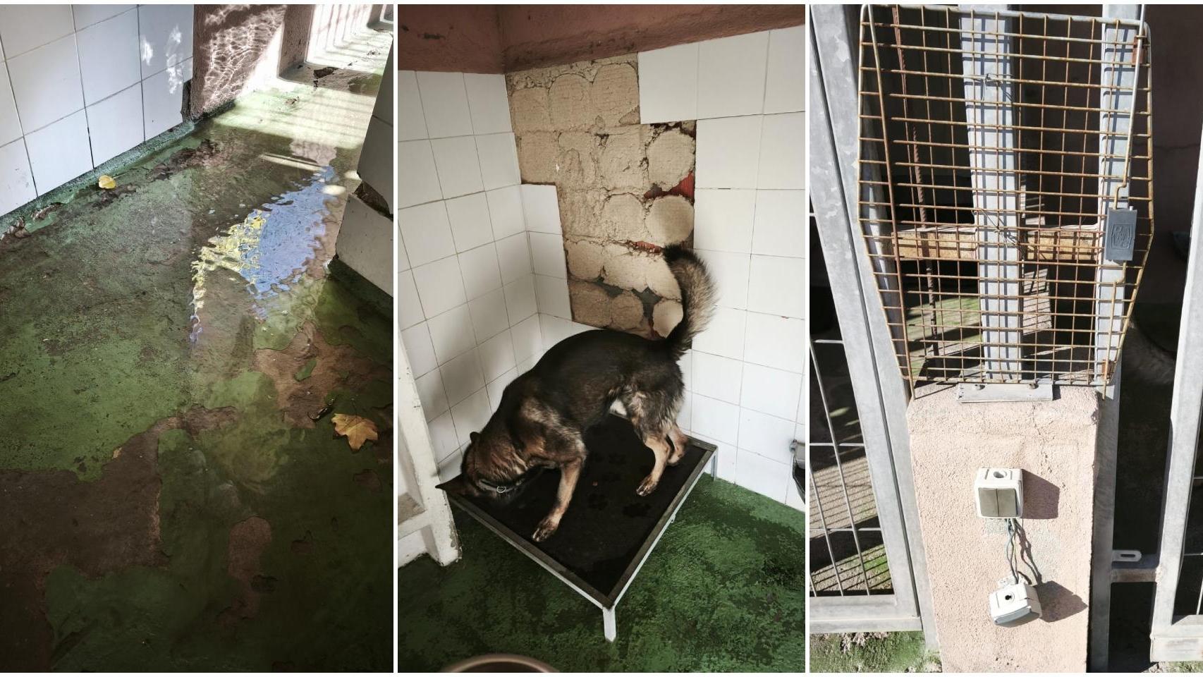 Las jaulas de los perros antidroga de la Guardia Civil.