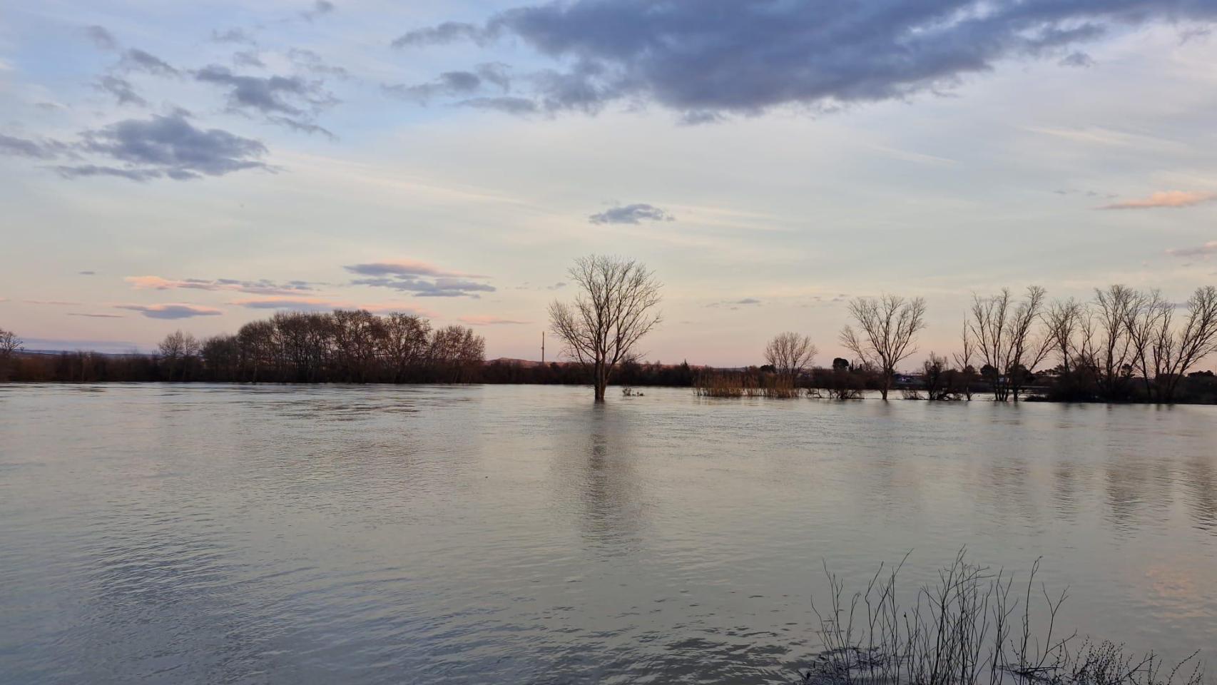 El río Ebro, este miércoles a su paso por Pina de Ebro
