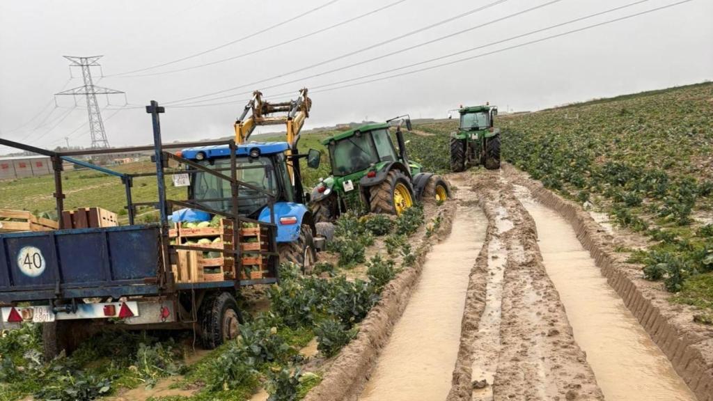 Imagen de los efectos de las inundaciones en los campos de Castilla-La Mancha.