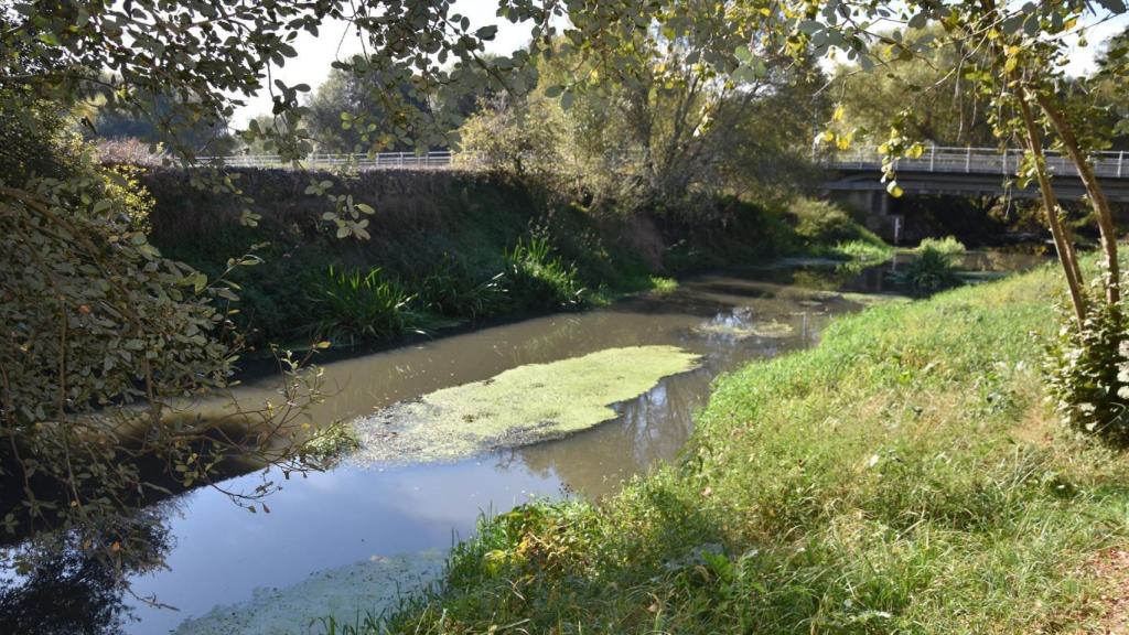 El Concello de Santiago pide el archivo de la sanción de Augas de Galicia por vertidos al río Sar
