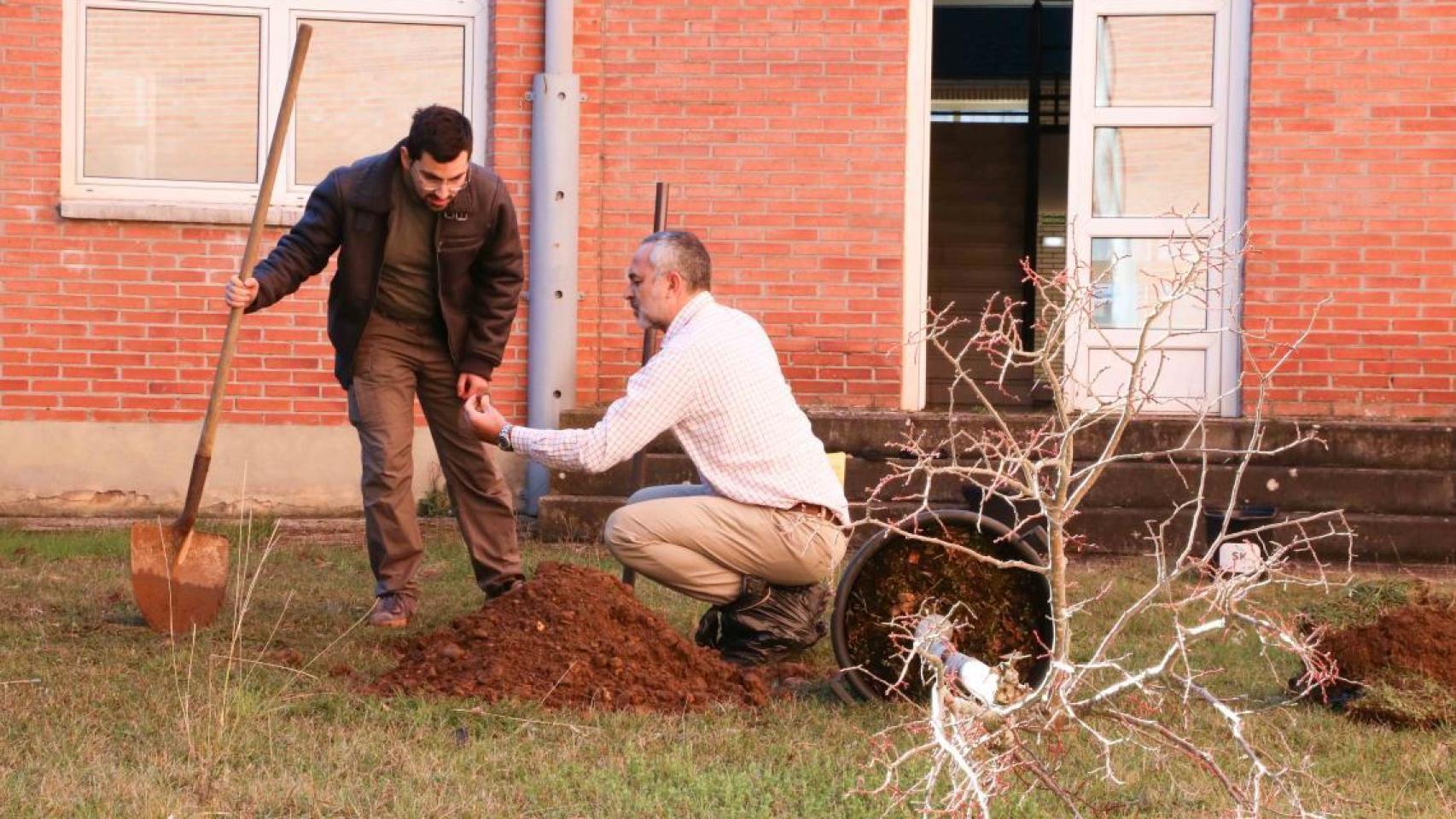 Sergio Boixo plantando el tilo.