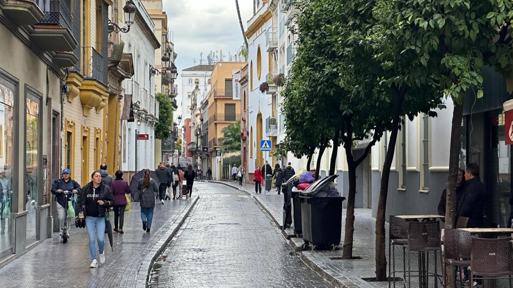 La calle Alfonso XII, en pleno Centro de Sevilla.