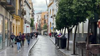 La calle Alfonso XII, en pleno Centro de Sevilla.