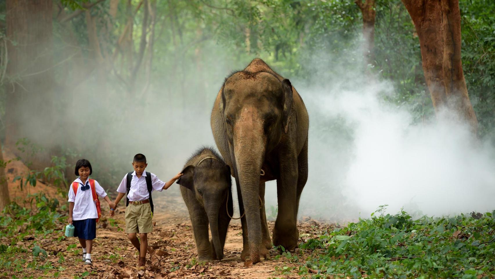 Dos niños paseando con un elefante.