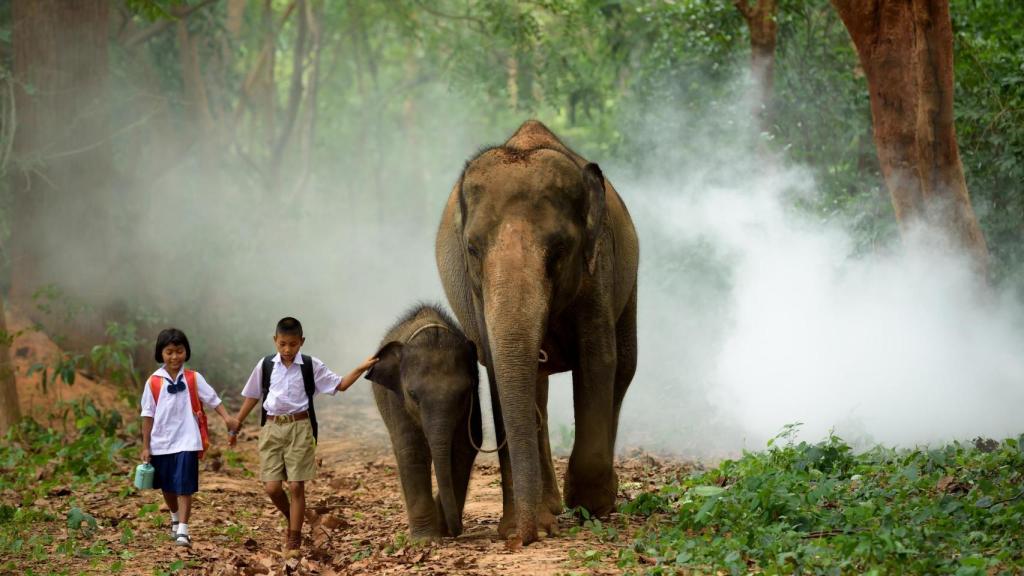 Dos niños paseando con un elefante.