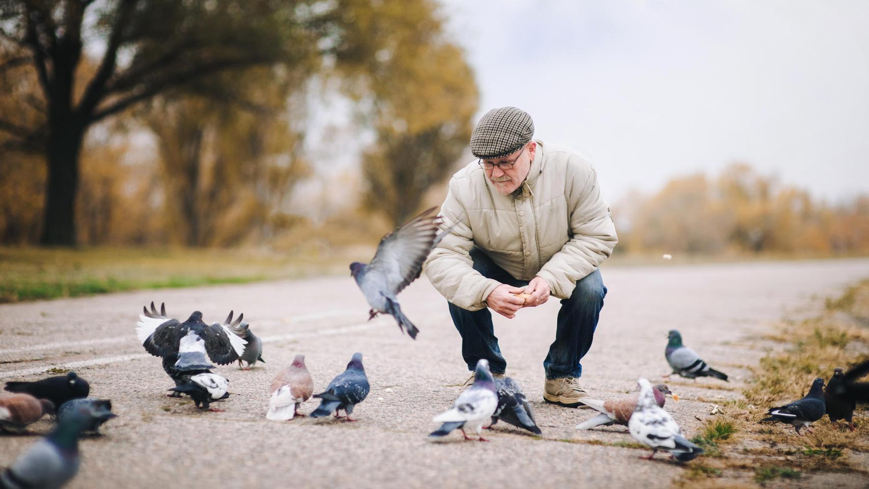 Un señor dando de comer a las palomas.