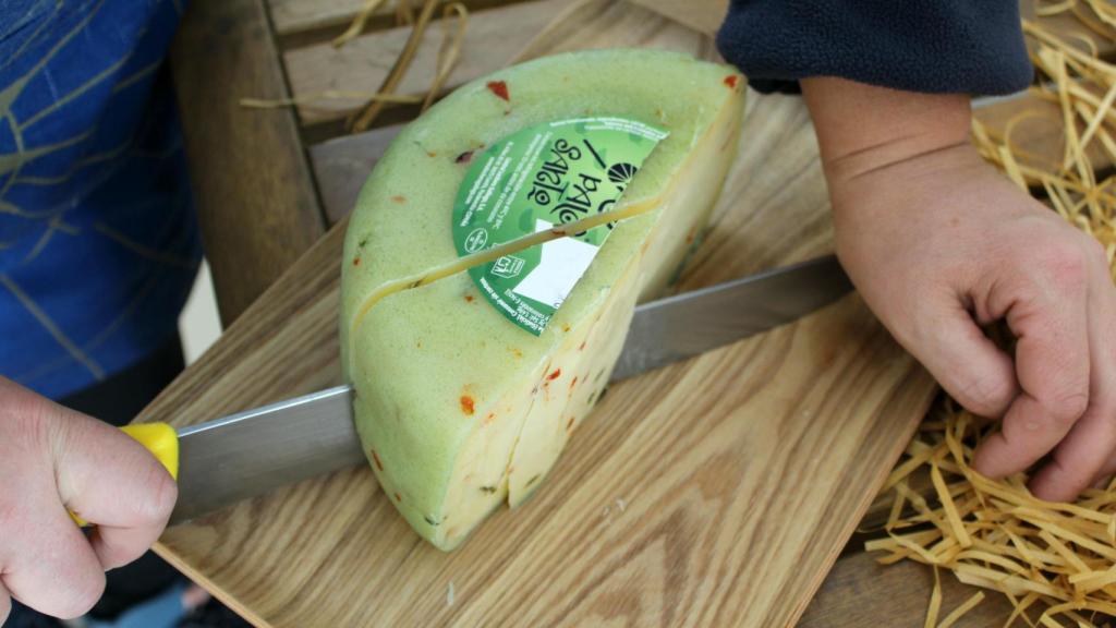 Queso Palo Santo Jalapeño