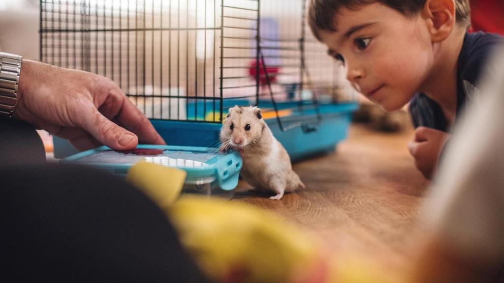 Un niño con un hámster.