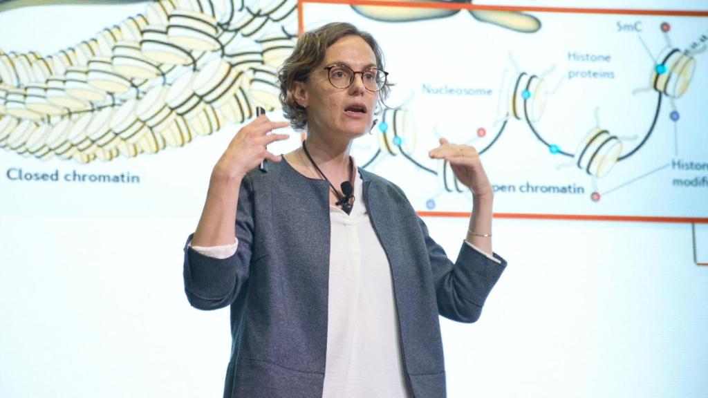 El grupo de Maria Colomé-Tatché está interesado en comprender cómo surgen los diferentes epigenomas.