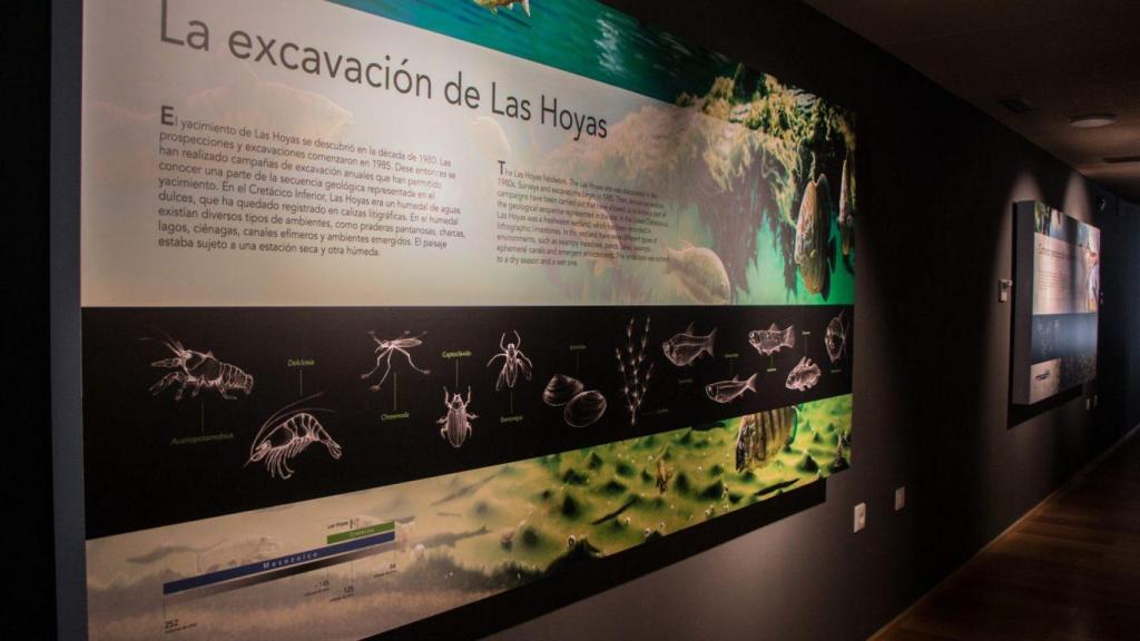 El precio de la entrada general al Museo de Paleontología de Castilla-La Mancha es de cinco euros.