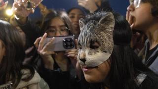 Una adolescente que se siente gata este sábado en Barcelona