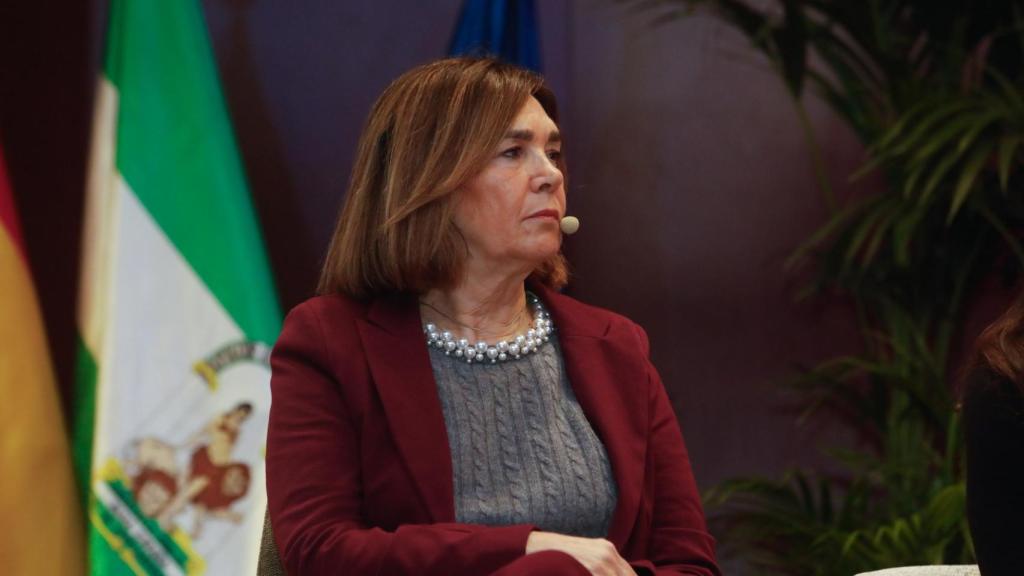 Charo Izquierdo durante su intervención en el Congreso