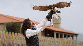 La gripe aviar obliga a suspender la exhibición de aves rapaces en la Fiesta de la Arribada, en Baiona (Pontevedra)