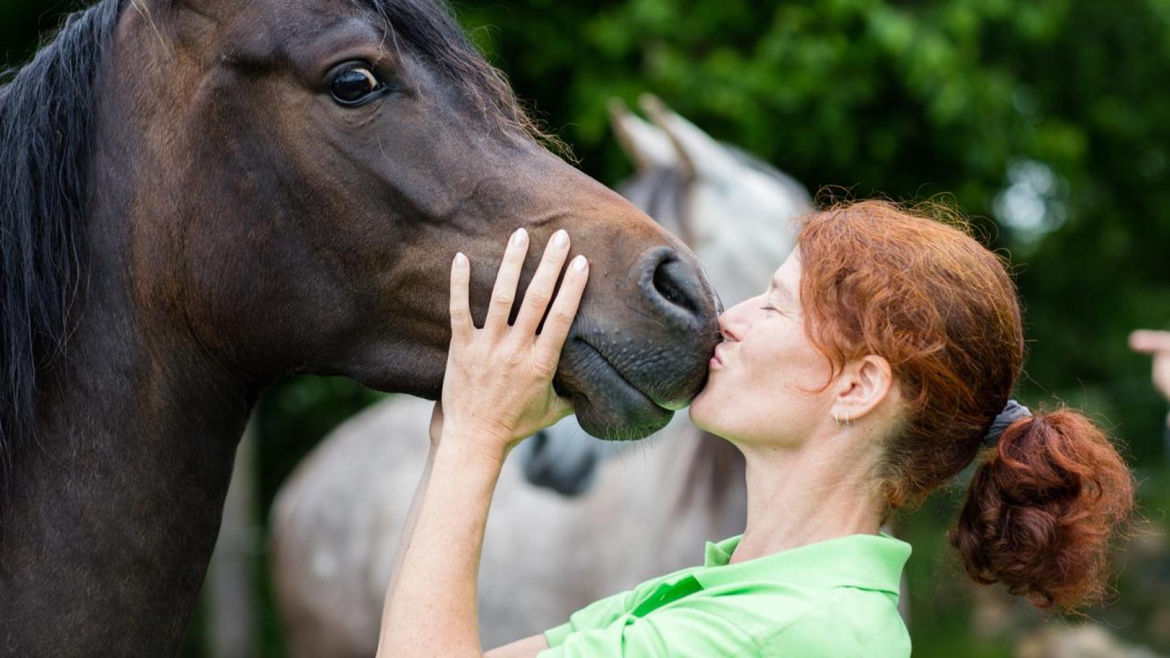 Una chica dando un beso a un caballo.