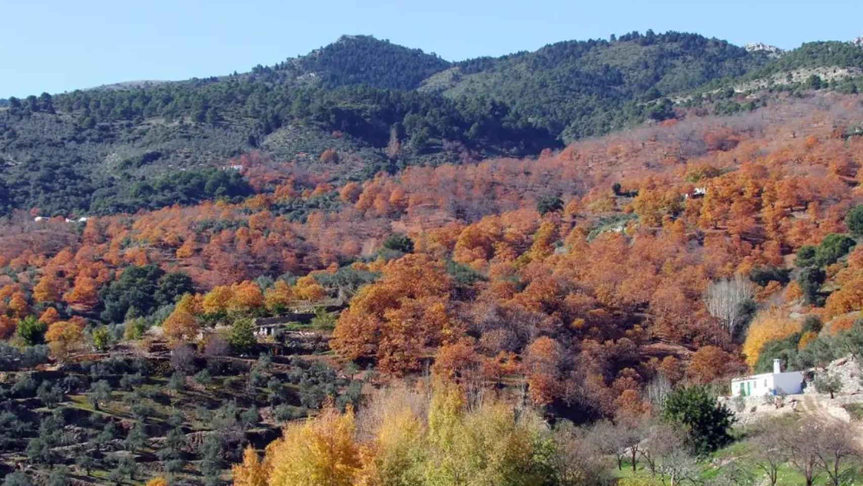 Vistas del Parque Nacional Sierra de las Nieves.