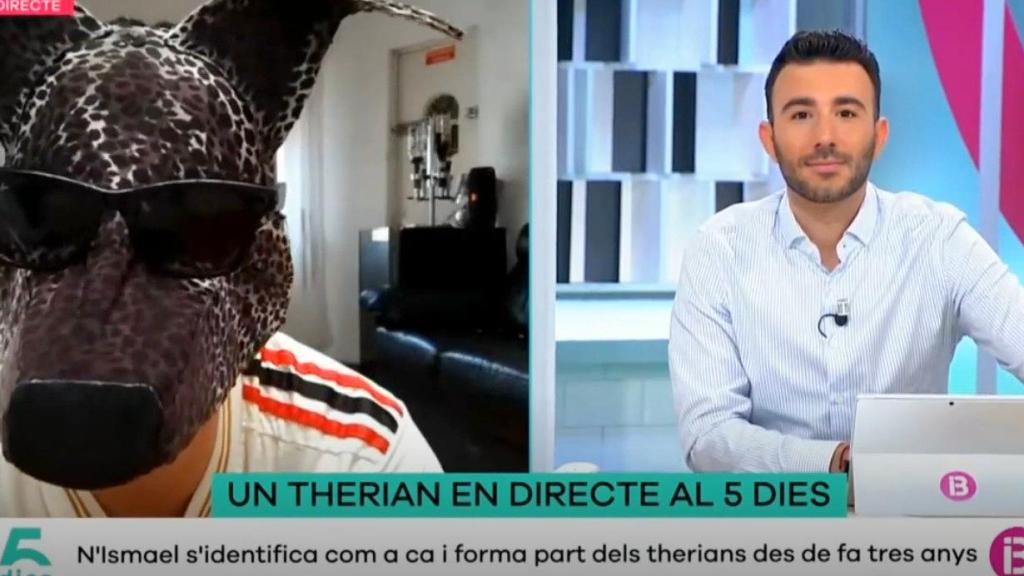 Toni Rigo entrevista a un 'therian' en 'Cinc Dies'.