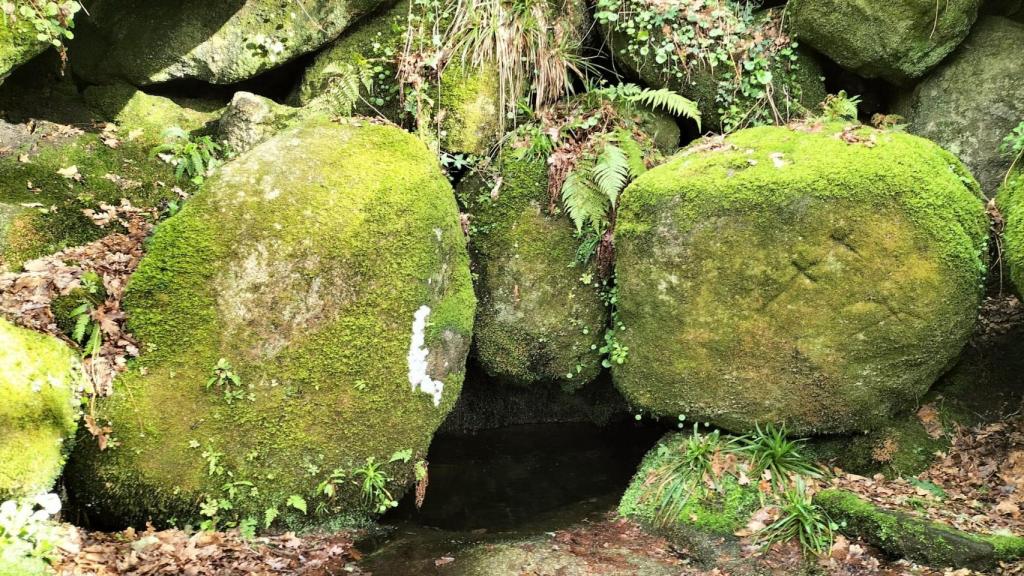 Fuente de San Benito