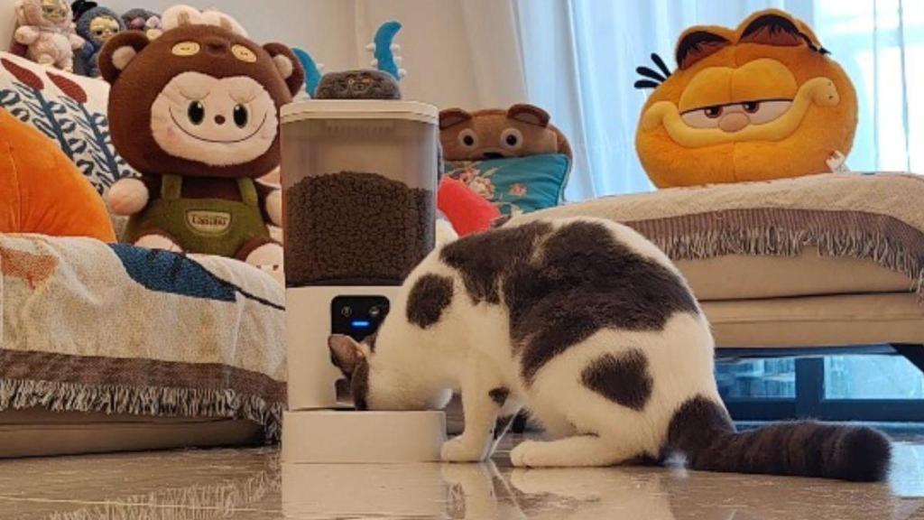 Mis gatas están encantadas: este es el comedero automático que necesitas si pasas mucho tiempo fuera de casa