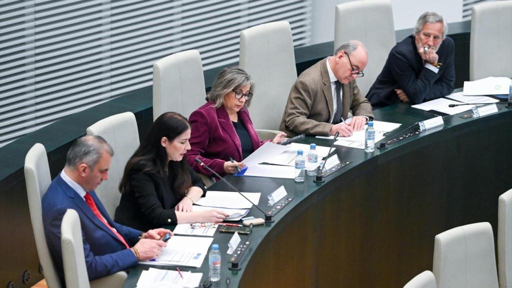 Los cinco concejales de Vox hoy en el Pleno: Ortega Smith, Carla Toscano, Arantxa Cabello, Fernando Martínez Vidal e Ignacio Ansaldo.