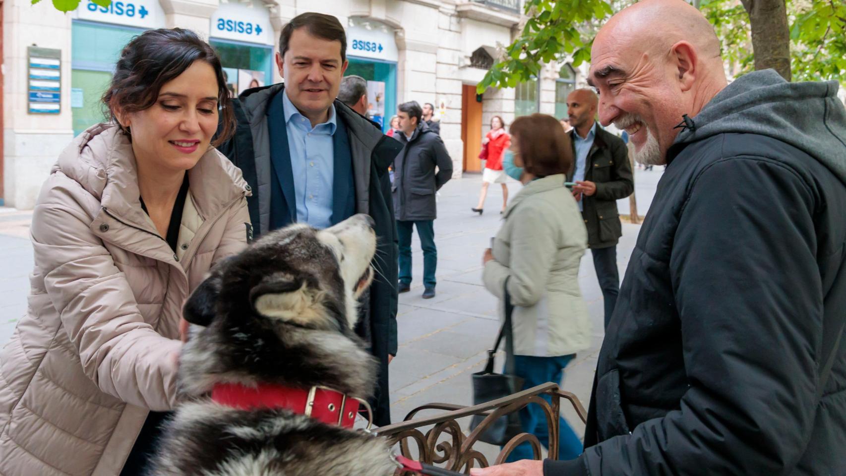 Alfonso Fernández Mañueco, pasea por Valladolid junto a la presidenta de Madrid, Isabel Díaz Ayuso, y al alcalde de la ciudad, Jesús Julio Carnero