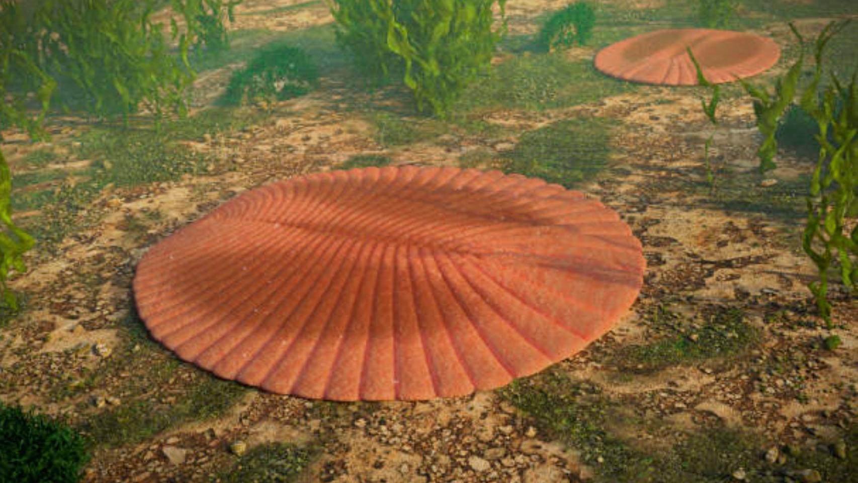 Imagen de Dickinsonia, un organismo que formaba parte de la biota de Ediacara.