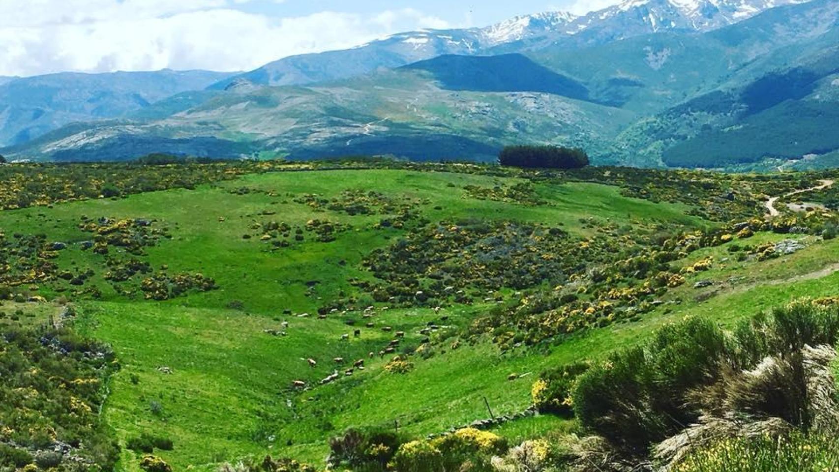Imagen de Navasequilla