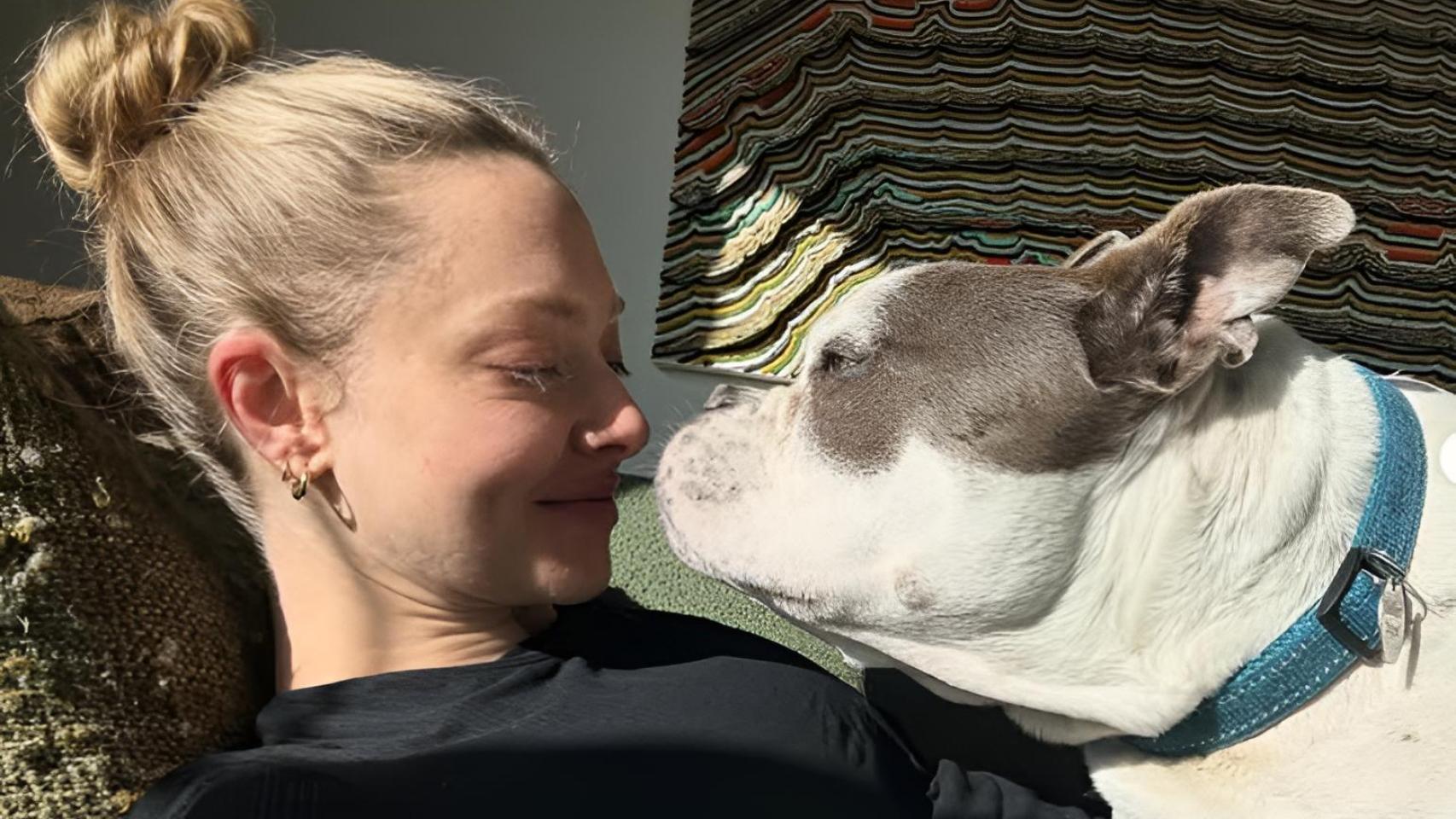 Amanda Seyfried con un perro.