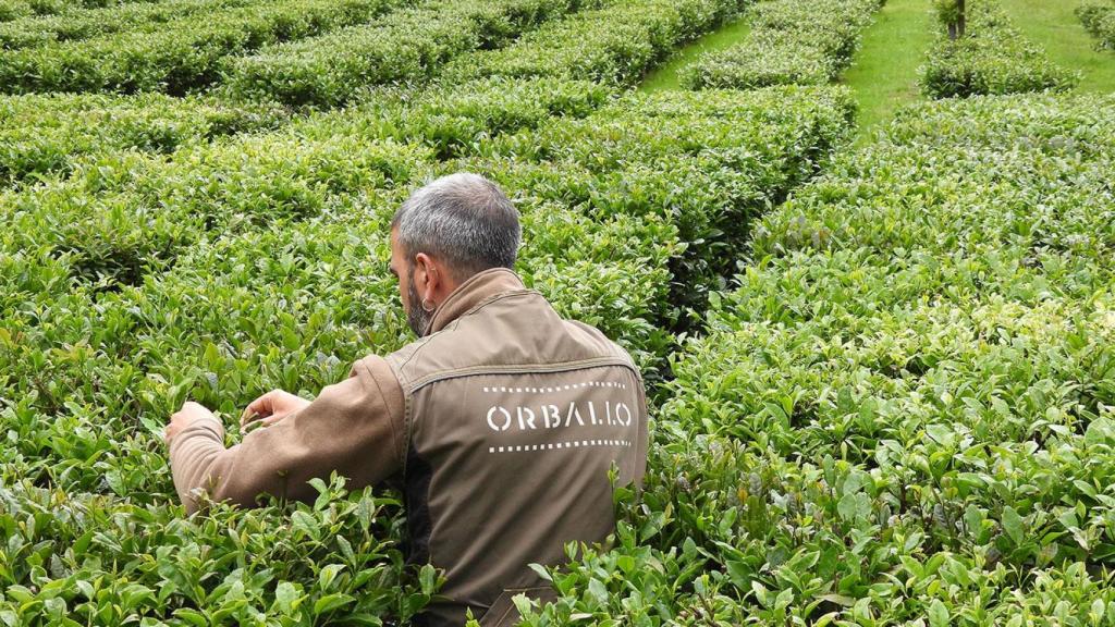 Orballo, en la Reserva de la Biosfera Mariñas Coruñesas.